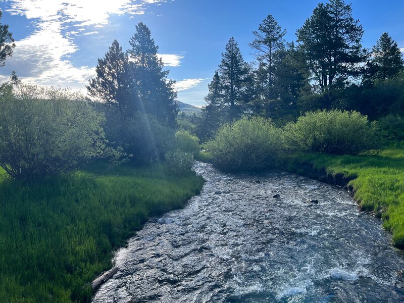 Pebble Creek in the morning light