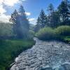 Pebble Creek in the morning light