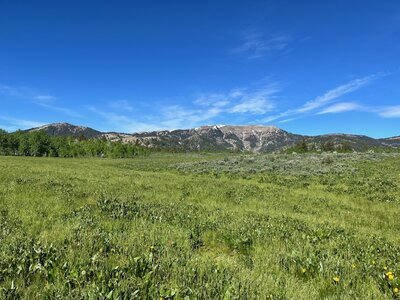 Haystack Mountain from the east