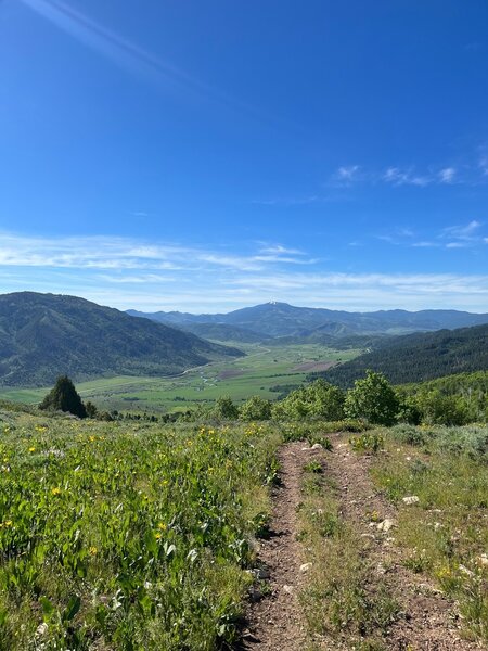 The green pastures of the upper Portneuf River, seen from the Boundary Trail.