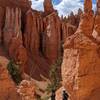 Down Queens Garden trail - start of the hoodoo section