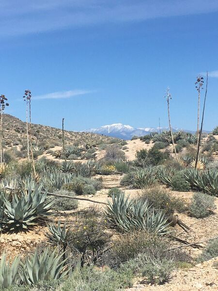 Dunn Road looking back at San Gorgonio