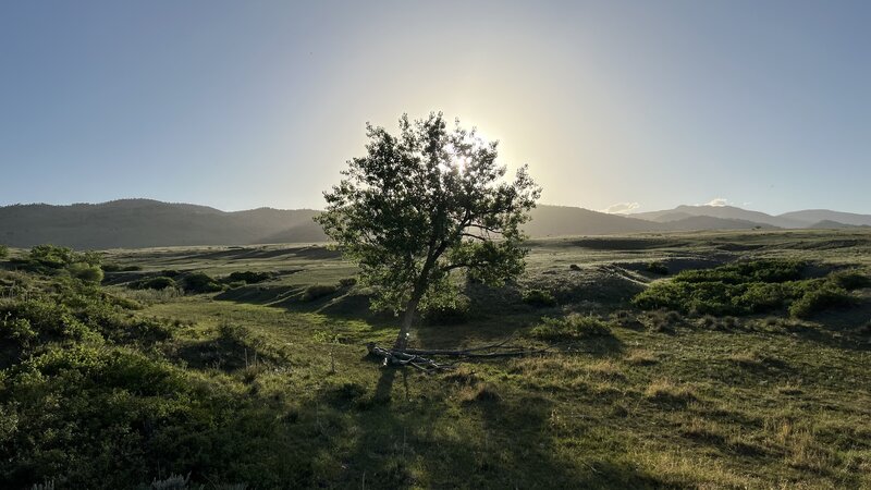 Setting sun on the Left Hand Trail.