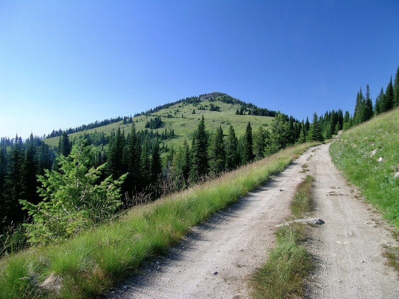 Looking back to North Baldy while walking the road back to the Icy Springs Trailhead.