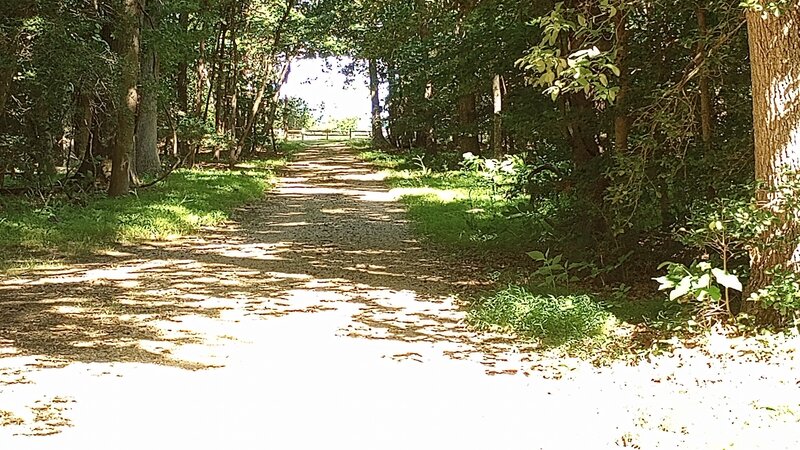 Heading to the Potomac RIver overlook from the Caledon Marsh Trail