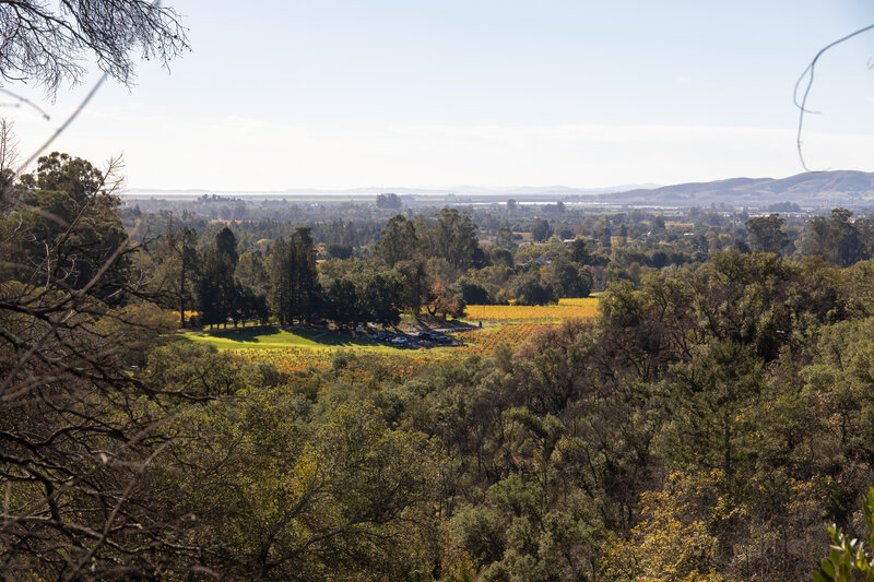 Bartholomew Villa and adjacent vineyards from the Grape Stomp Bench.