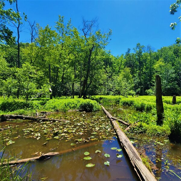 View from the trail