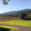 Looking past Sherry Barn towards the vineyard.