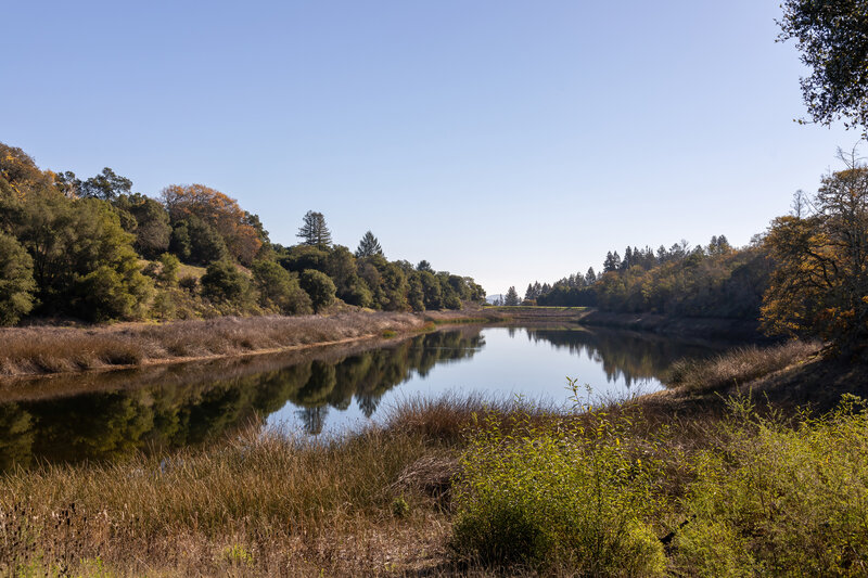 Fern Lake