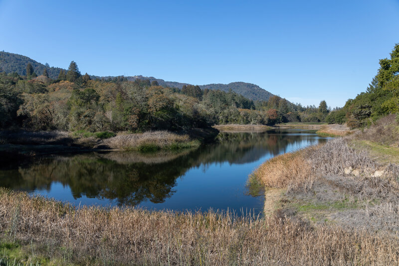 Fern Lake