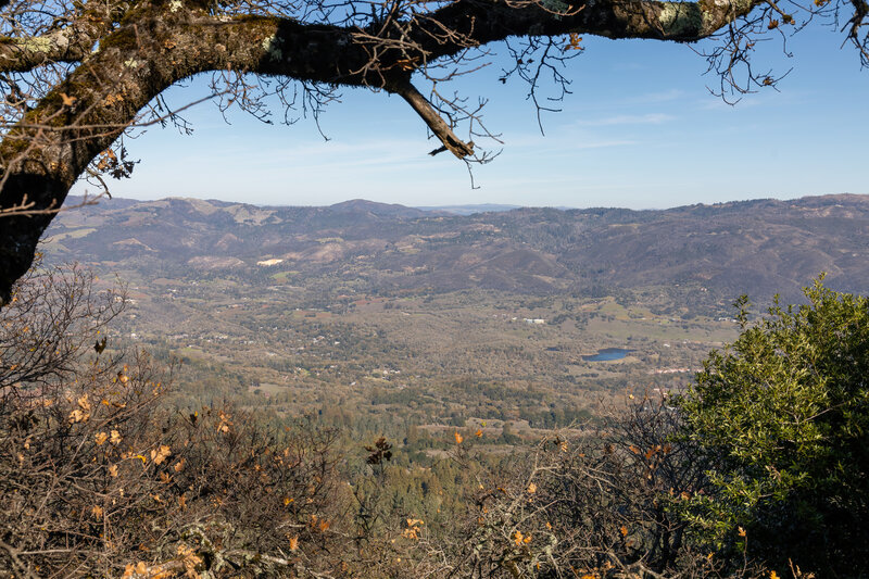 Eldrige from East Slope Sonoma Mountain Ridge Trail.