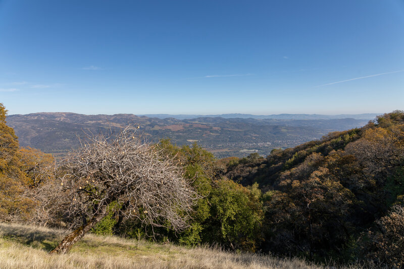 The outskirts of Sonoma