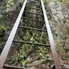 One of the largest ladders near the very end of the trail just shy of the summit.