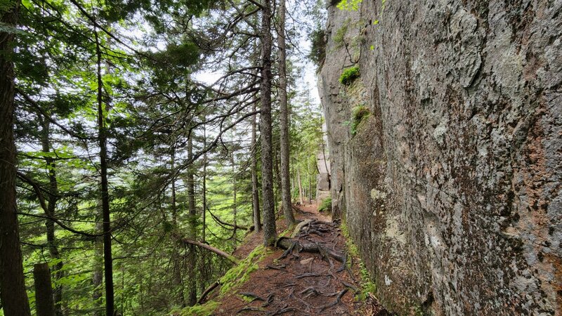 View up the trail along a large steep wall of rock.