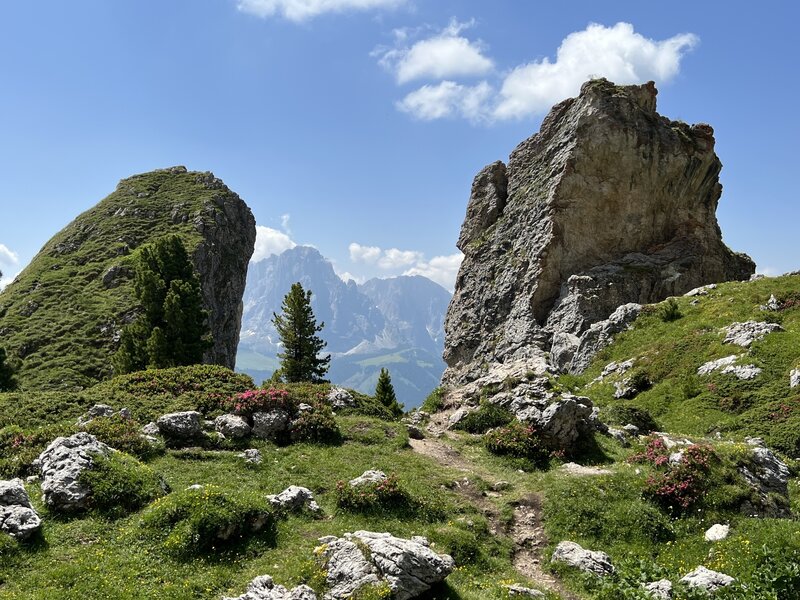 Cool rocks with Sassolungo / Sasso Piatto in background.