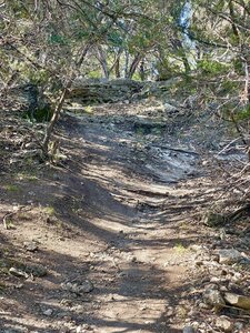 Trail leading to Dana Peak summit