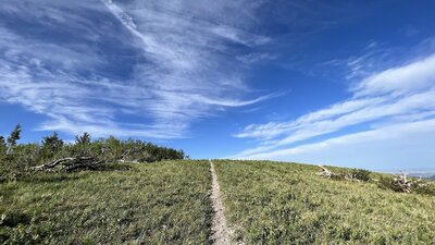 Just before the Bald Mountain summit, running from the west.