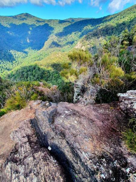 Just below the Molongolee Cave