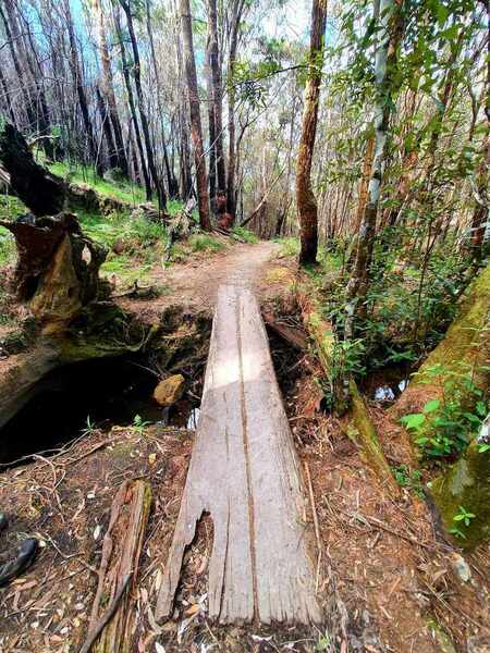 The Bridge over picnic creek.