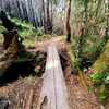 The Bridge over picnic creek.