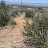 View from Trail 2 west towards Laramie