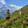 Mt Blanc with profusion of rhododendrons along the trail.