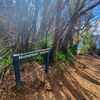 Like the sign says, Numinbah Lookout.