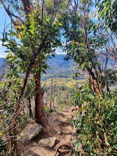 Numinbah Lookout