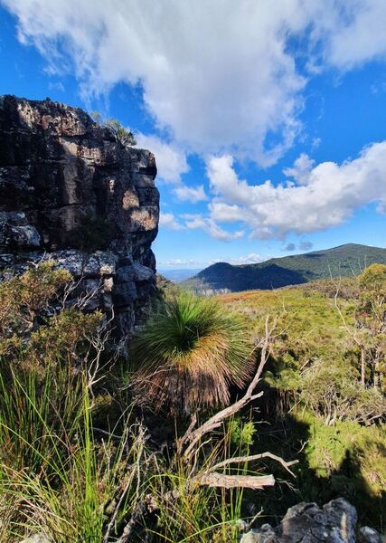 View from Surprise Rock