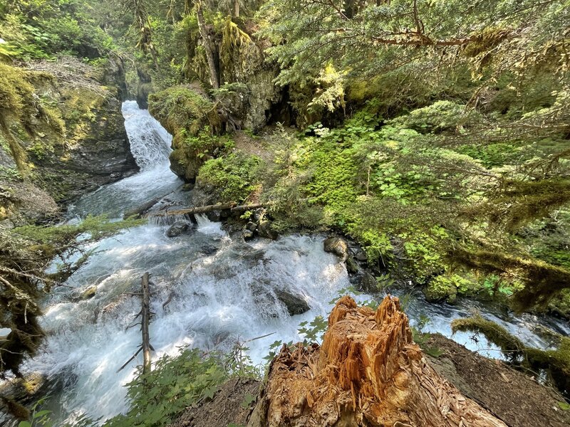 Virgin Creek Falls