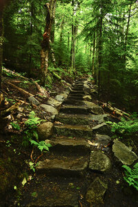 The improved trail is like this the entire length. Can't give the trail crew responsible for this enough credit.