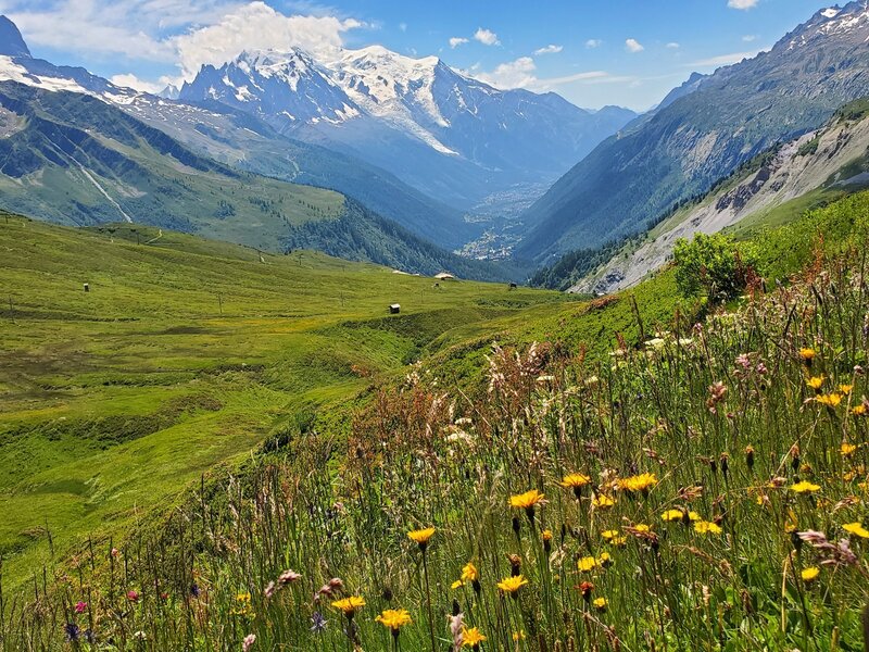 Looking down-valley towards Mt Blanc and Chamonix.