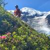 Wonderful glacier views are the hikers' reward.