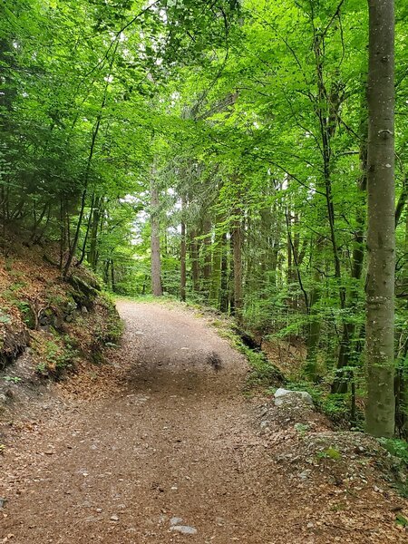 Wide smooth start to this trail.