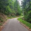 Paved road leading to the suspension bridge