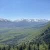 Just slightly off the trail as you finish up the first set of switchbacks, you are greeted with this view overlooking Resurrection Pass and Hope!