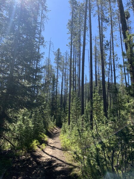 Lackeys Hole Trail