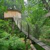 Handful of treehouses in the forest