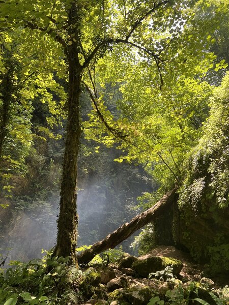 Pristine nature of Darno waterfall in Nowshahr.