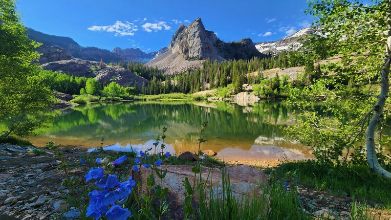 View from the trail