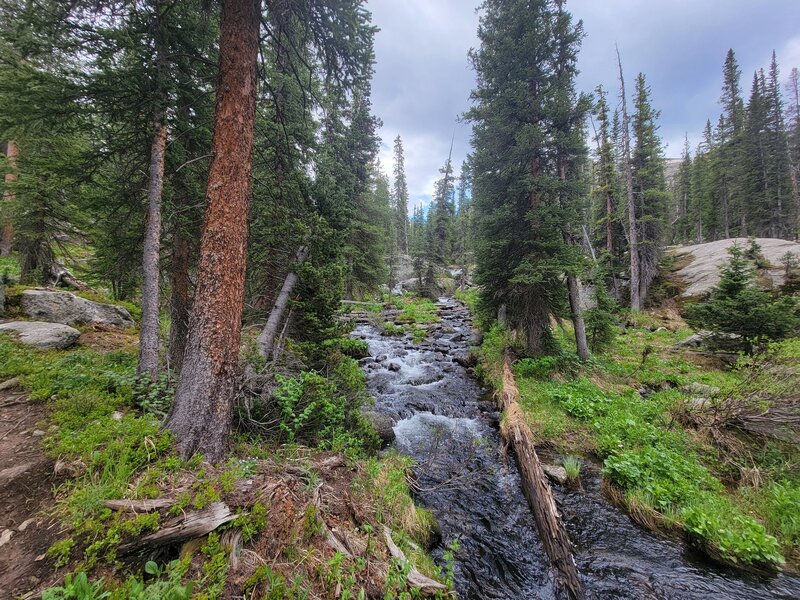 Trail follows the creek.