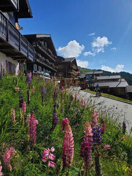 Adorable Bettmeralp