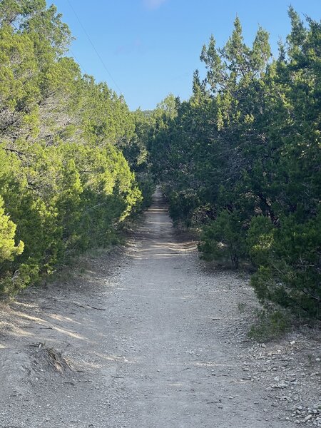 Beginning of Fence Line Trail.