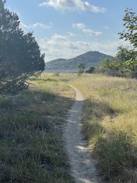 Nice view on Bushy Back Trail.