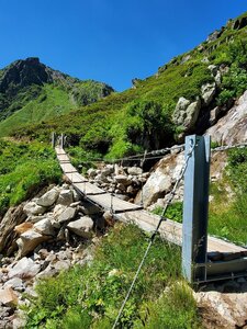 Mini hanging bridge across a stream.