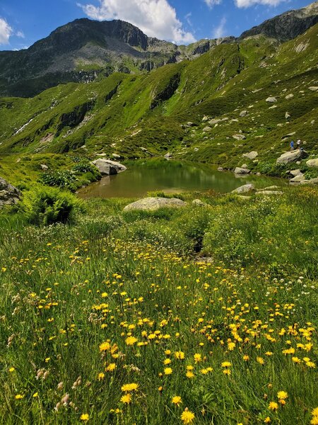 Lag Serein - Lake Serein nestled in a bowl of wildflowers.