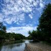 Looking upstream toward the Cannon River bridge.