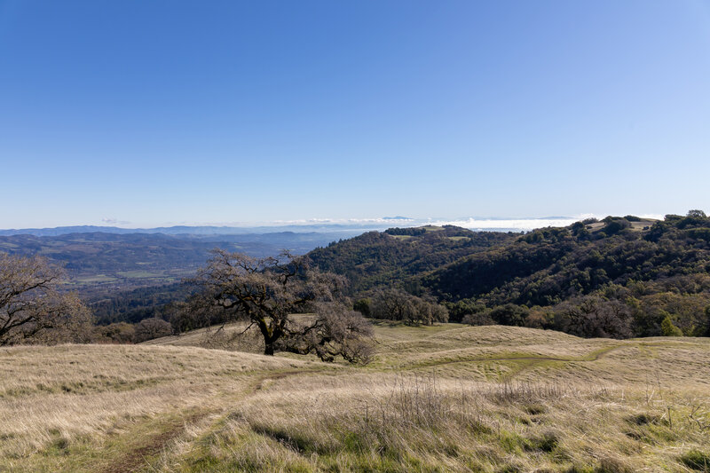 View from Park Summit