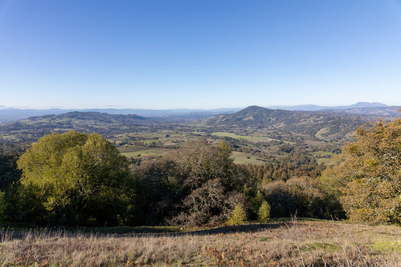 View from North Sonoma Mountain Ridge Trail.