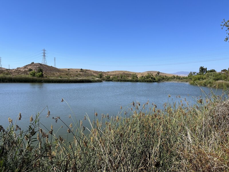 View of Barbara's Lake.